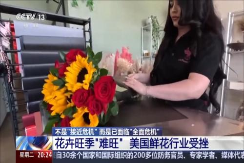 不是“接近危机”而是已面临“全面危机” 花卉旺季“难旺” 美国鲜花行业受挫