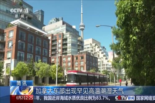 加拿大東部出現(xiàn)罕見高溫潮濕天氣