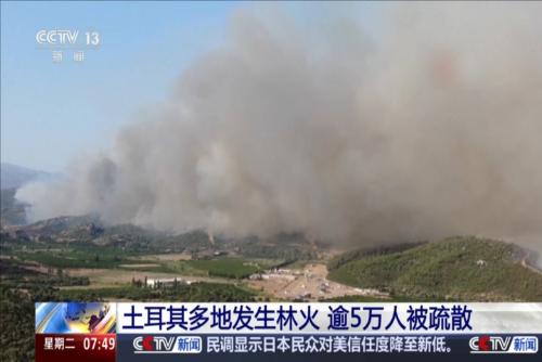 土耳其多地發(fā)生林火 逾5萬人被疏散