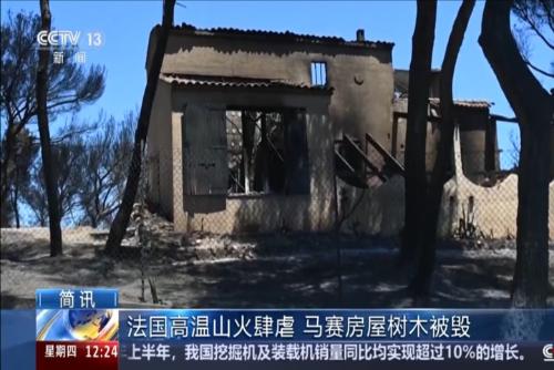 法國高溫山火肆虐 馬賽房屋樹木被毀