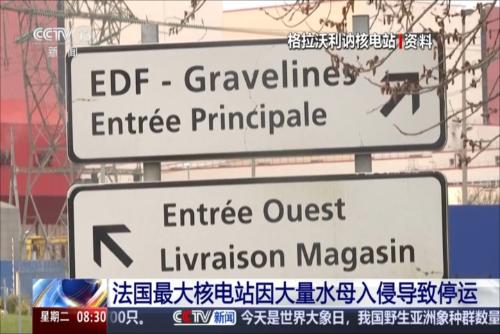 法国最大核电站因大量水母入侵导致停运
