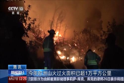 今年歐洲山火過火面積已超1萬平方公里