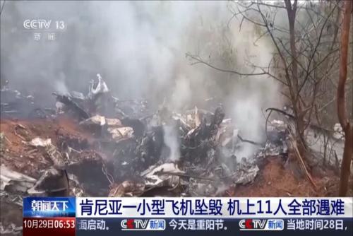肯尼亞一小型飛機(jī)墜毀 機(jī)上11人全部遇難