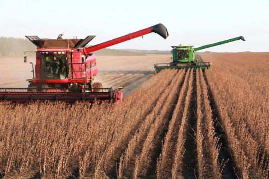 China keeps positive relations with soybean exporters