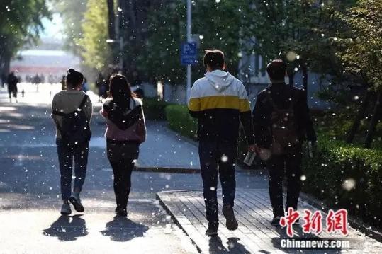 Beijing warns of heavy catkin season on way