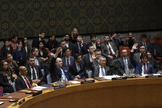 U.S. criticized over vetoing Palestine UN membership
