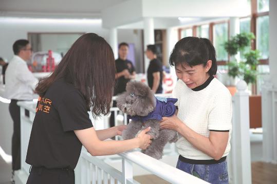 First pet lounge launched at Shenzhen airport