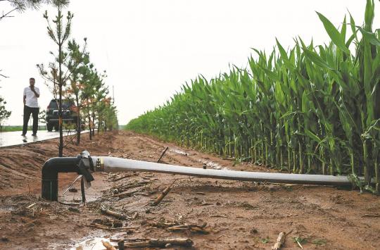 Smart irrigation increases efficiencies on Yulin farms