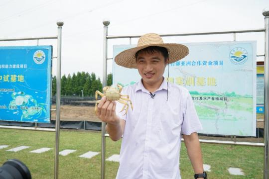 Rare white crabs fetch gourmets' appeal