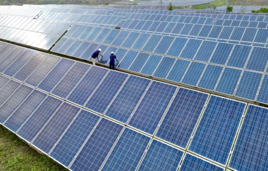 Domestic support, diversified overseas strategies underlined for PV industry