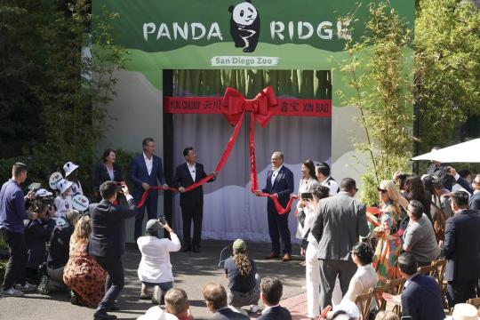 New pandas make San Diego debut, boost bilateral conservation research