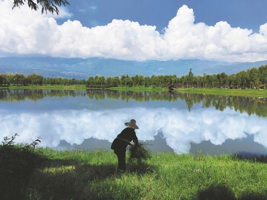 Green shift provides lifeline for Yunnan's lakes