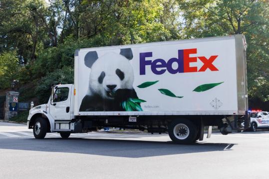 Giant pandas make grand entry in DC, to debut in January