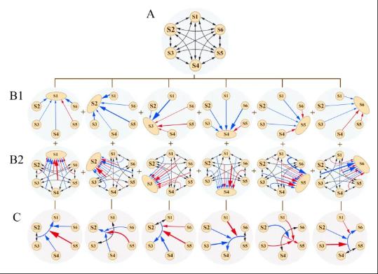 Mathematicians help to cure cancer in a creative manner