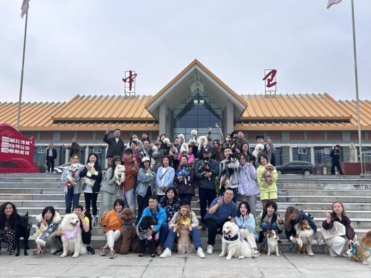 Ningxia launches new pet flight service