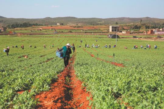 Project gives farmers stable water supply