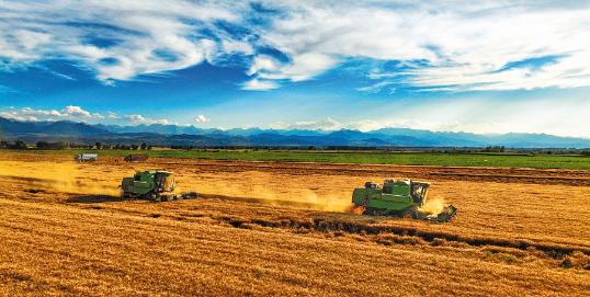 Desert corps lays foundation for progress in Xinjiang