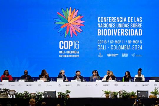 China details work on biodiversity at COP16