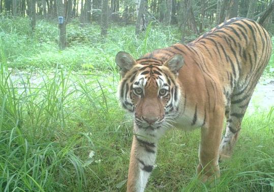 Monitoring ramped up at wildlife park