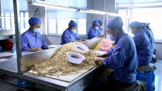 Consumers worldwide go 'nuts' for Jilin product