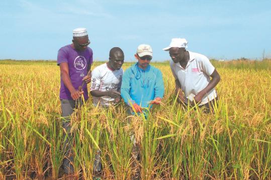 Farming expert grows knowledge in Africa