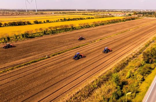 Breweries push barley and hops innovation