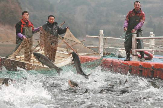 Draft roots for eco-friendly aquaculture practices