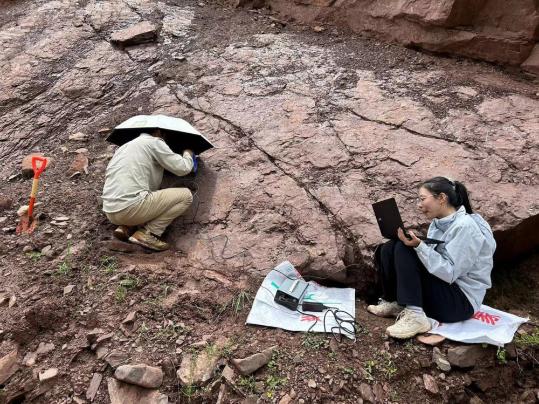 Chinese scientists find world's smallest known sauropod dinosaur footprints