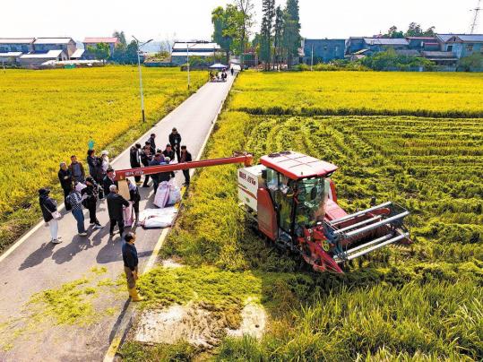 Hunan grain base to ensure nation's food security