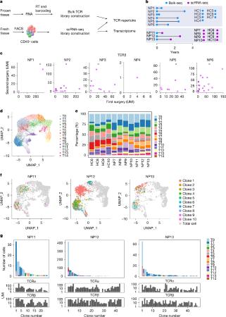 Researchers identify T cells causing chronic sinus inflammation