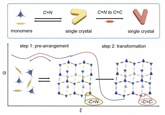 Scientists synthesize single-crystal sp2 carbon-linked covalent organic frameworks