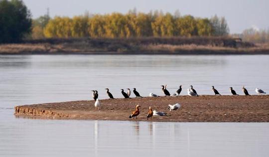 Protection of Yellow River Basin stressed