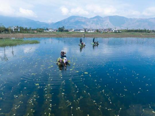 Steady progress seen in environment protection