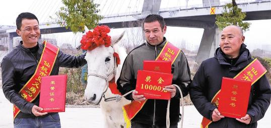 3 men, horse honored for daring rescue