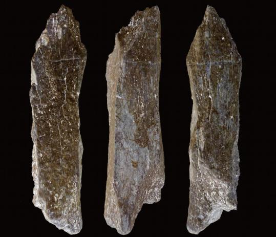 Breakthrough findings span from Paleolithic period to Qing Dynasty