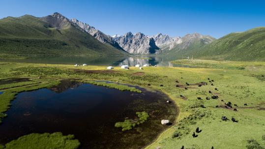 New light shed on diversity of plateau's plants