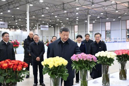 Xi's visit highlights flowering prospects in Yunnan