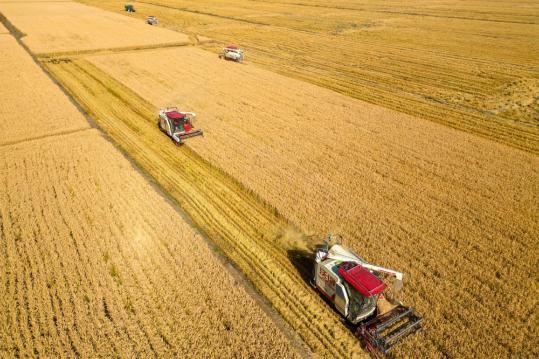Plan aims to boost strength in agriculture