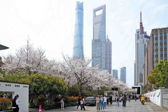 Shanghai promotes innovative financial services