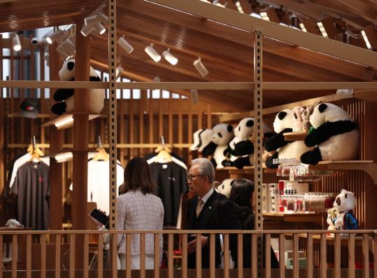 China shows cultural depth at Osaka expo