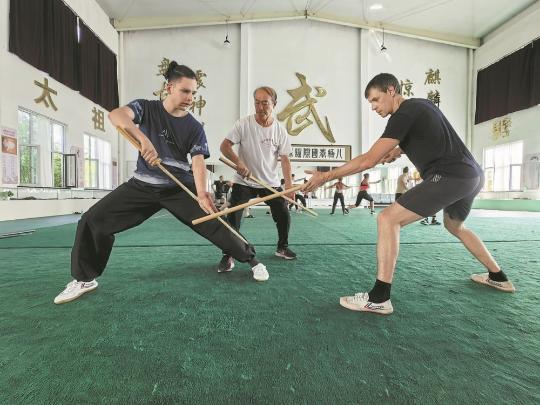 Martial arts as a unifying force, transcending cultural boundaries