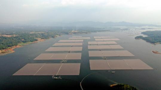 ASEAN urged to grow home solar market