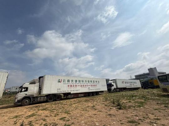 Chinese freight vehicles depart for Vietnam on milestone journey