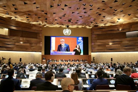WHA again rejects Taiwan province proposal