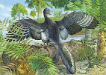 China-U.S. research unveils dinosaur-bird transition
