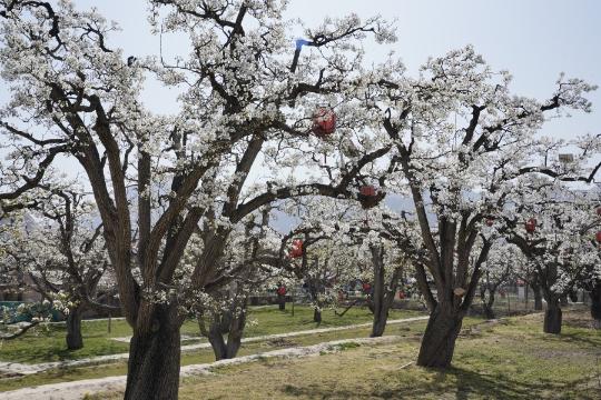China expands globally important agricultural heritage sites