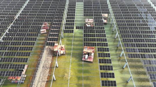 Experts: Nation leads in green industry practices