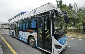 China's Green Hydrogen Milestone: Fueling Beijing's Transportation Sector Sustainably