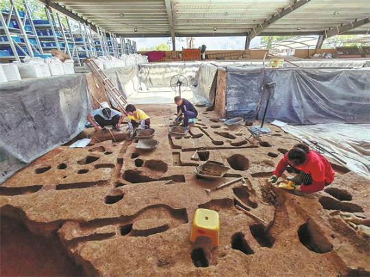 Discovery sheds light on early agriculture