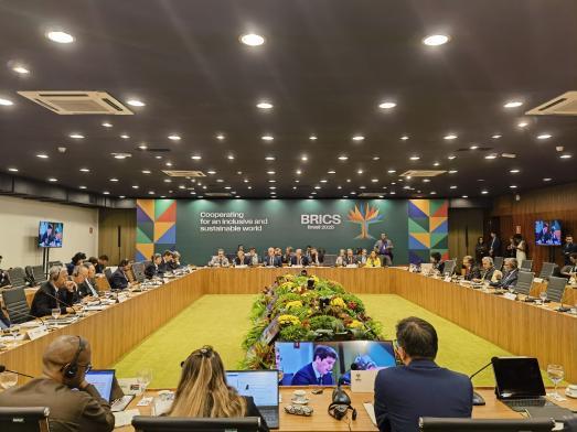 China boosts BRICS cooperation in emerging industries